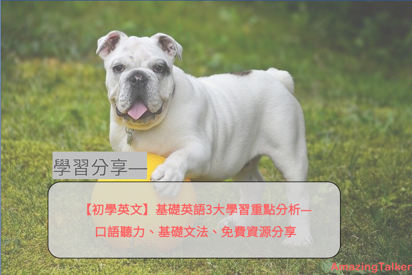 基礎英語 初學英語者必看 必推書單 句型單字 免費資源分享